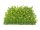 EUROPALMS Grass mat, artificial, green-yellow, 25x25cm