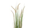 EUROPALMS Lampenputzergras, künstlich, 120cm