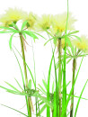 EUROPALMS Sterngras, künstlich, 120cm