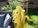 EUROPALMS Reed Grass Bunch, artificial, 118cm