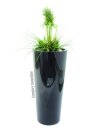 EUROPALMS Grasarrangement, künstlich, 90cm