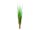 EUROPALMS Fuchsgras, künstlich, 150cm