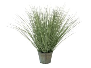 EUROPALMS Ornamental grass, artificial, 65cm