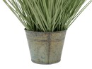 EUROPALMS Ornamental grass, artificial, 65cm
