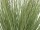 EUROPALMS Ornamental grass, artificial, 65cm