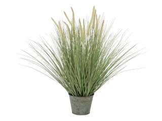 EUROPALMS Ziergras, blühend, künstlich, 70cm