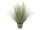 EUROPALMS Ziergras, blühend, künstlich, 70cm