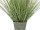 EUROPALMS Ziergras, blühend, künstlich, 70cm