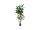 EUROPALMS Gummibaum, Kunstpflanze,150cm