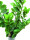 EUROPALMS Zamifolia, artificial plant, 70cm