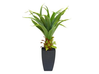 EUROPALMS Agave plant with pot, artificial plant, 75cm