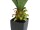 EUROPALMS Agave plant with pot, artificial plant, 75cm