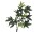 EUROPALMS Pachirabaum, Kunstpflanze, 160cm