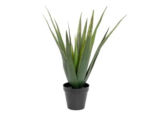 EUROPALMS Aloe Vera Plant, artificial plant, 60cm