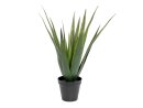 EUROPALMS Aloe Vera Plant, artificial plant, 60cm