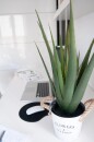 EUROPALMS Aloe Vera Plant, artificial plant, 60cm