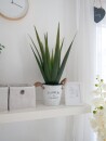 EUROPALMS Aloe Vera Plant, artificial plant, 60cm