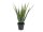 EUROPALMS Aloe Vera Plant, artificial plant, 60cm