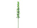 EUROPALMS Kristalleukalyptus, Kunstpflanze, grün,...
