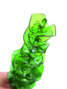 EUROPALMS Crystal eucalyptus, artificial plant, green 81cm 12x