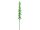 EUROPALMS Crystal eucalyptus, artificial plant, green 81cm 12x