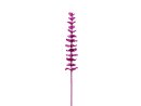 EUROPALMS Kristalleukalyptus, Kunstpflanze, burgund, 81cm...