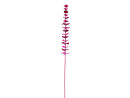 EUROPALMS Kristalleukalyptus, Kunstpflanze, burgund, 81cm...