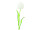 EUROPALMS Crystal tulip, artificial flower, white 61cm 12x