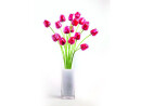 EUROPALMS Kristalltulpe, Kunstblume, rot, 61cm 12x