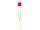 EUROPALMS Kristalltulpe, Kunstblume, rot, 61cm 12x