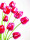 EUROPALMS Kristalltulpe, Kunstblume, rot, 61cm 12x