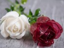 EUROPALMS Crystal rose, white, artificial flower, 81cm 12x
