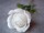 EUROPALMS Crystal rose, white, artificial flower, 81cm 12x