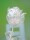 EUROPALMS Kristallrose, Kunstblume, transparent, 81cm 12x