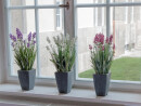 EUROPALMS Lavender, artificial plant, purple, in pot, 45cm