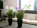 EUROPALMS Lavender, artificial plant, purple, in pot, 45cm