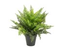 EUROPALMS Farnbusch im Dekotopf, Kunstpflanze, 51...