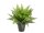 EUROPALMS Fern bush in pot, artificial plant, 51 leaves, 48cm