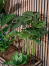 EUROPALMS Monstera Deliciosa, artificial plant, 90cm