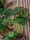 EUROPALMS Monstera Deliciosa, artificial plant, 90cm