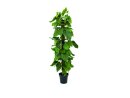 EUROPALMS Pothos, Kunstpflanze, 180cm