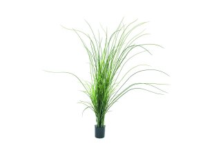 EUROPALMS Reed (grass),  artificial, 145cm