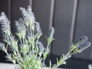 EUROPALMS Lavender bush, artificial, 61cm