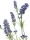 EUROPALMS Lavender bush, artificial, 61cm