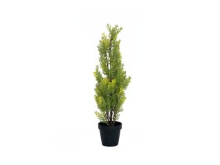 EUROPALMS Cypress, Leyland, artificial plant, 60cm