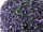 EUROPALMS Grass ball, artificial,   pink, 22cm