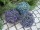 EUROPALMS Grass ball, artificial,   pink, 22cm