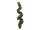EUROPALMS Boxwood Spiral, artificial, 180cm