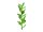 EUROPALMS Money tree shoot, artificial plant, 30cm