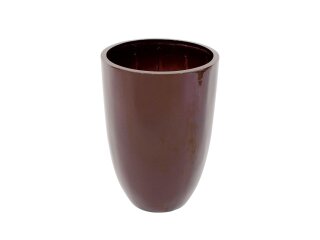 EUROPALMS LEICHTSIN CUP-49, shiny-brown